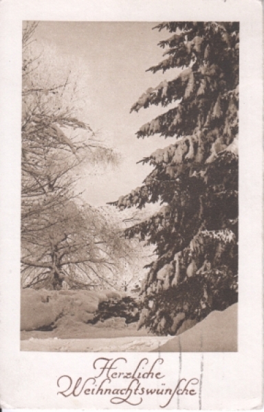 Weihnachten 1934 95 001 A ● Herzliche Weihnachtswünsche